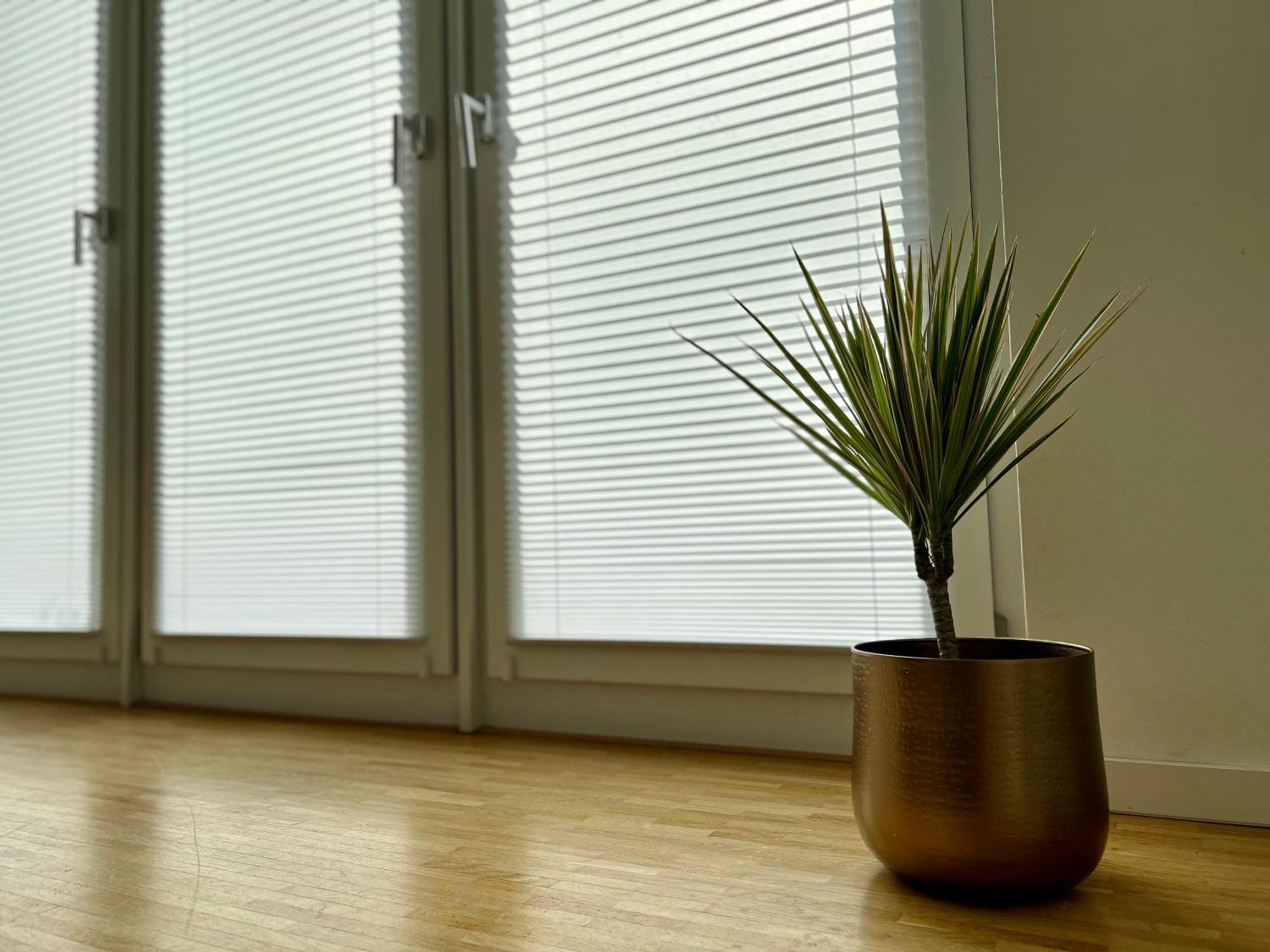 Wohlfuehl-apartment Mit Gemuetlicher Terrasse Hannover